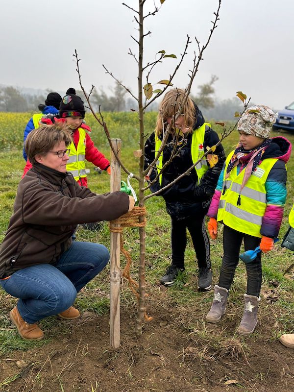 Klassenbäume – Pflanzaktion